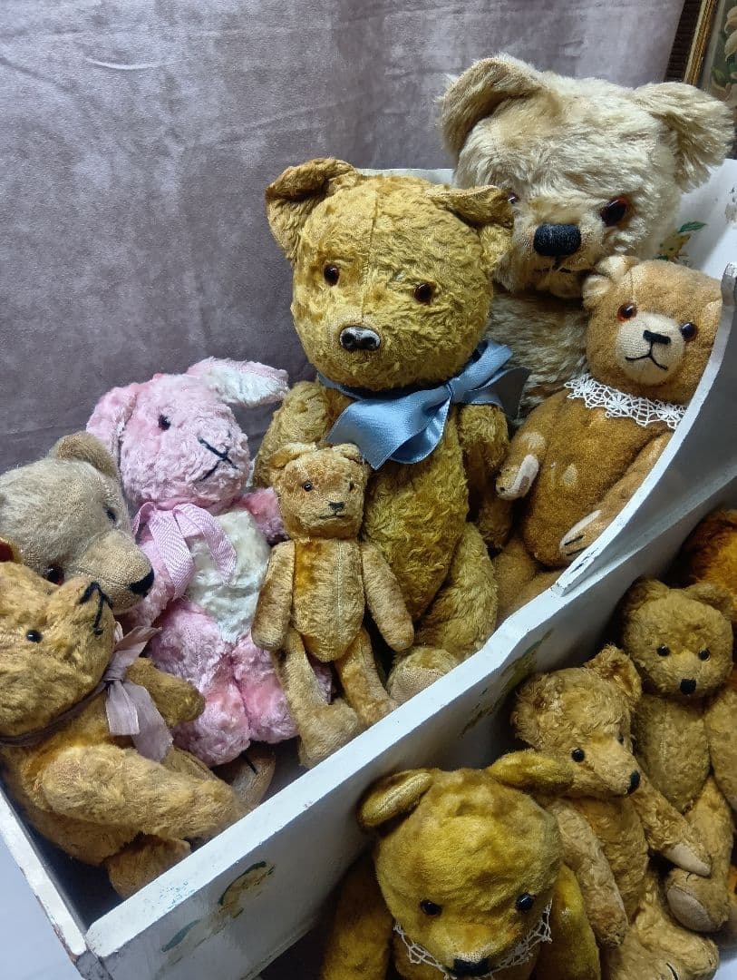 ♥ドイツからやって来た賢いお顔の　アンティーク　テディベア♥