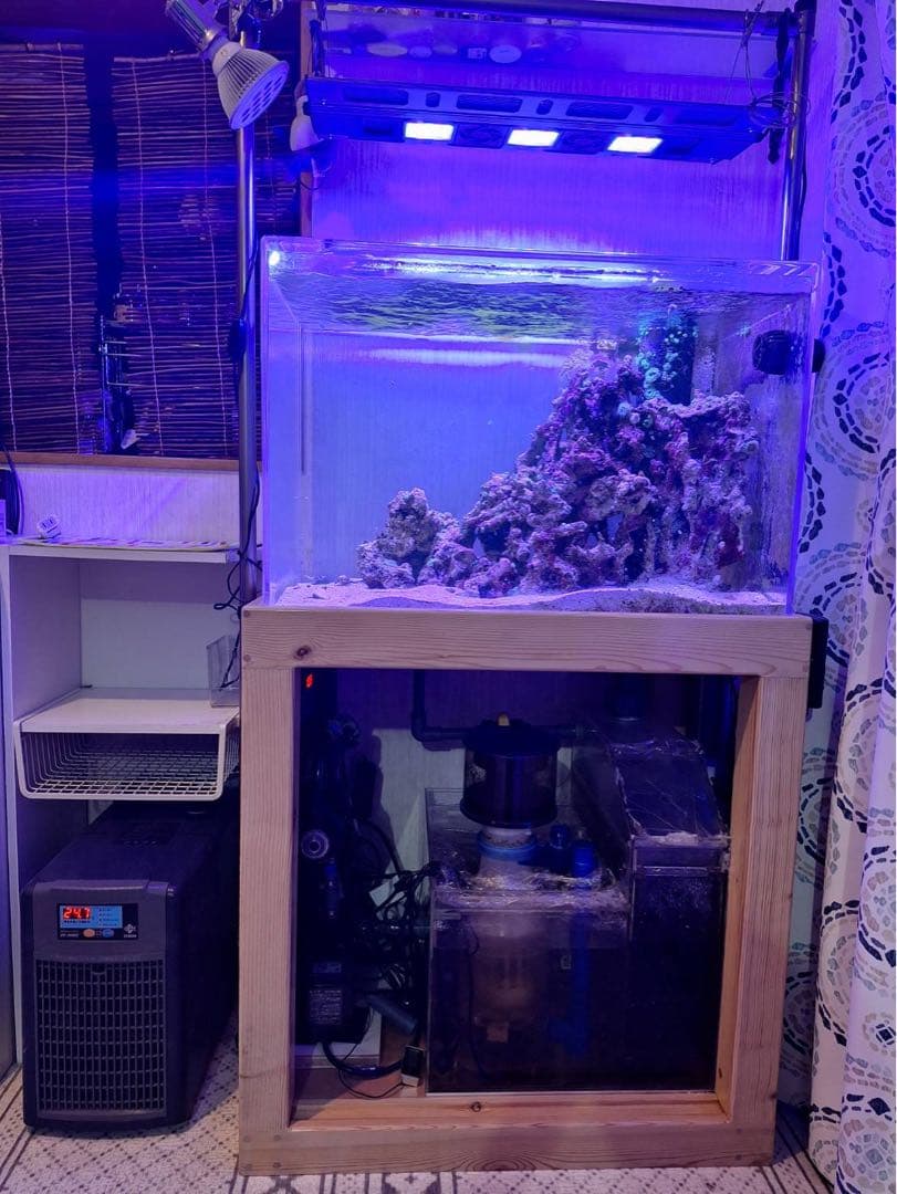 オーバーフロー水槽一式 アクリル750×500×500スプラッシュオリジナル