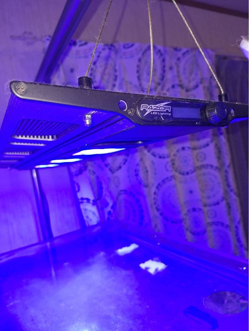 オーバーフロー水槽一式 アクリル750×500×500スプラッシュオリジナル