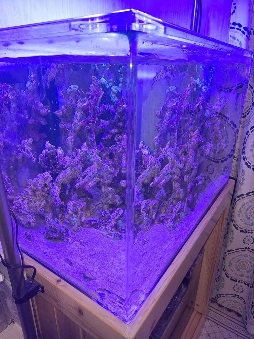 オーバーフロー水槽一式 アクリル750×500×500スプラッシュオリジナル