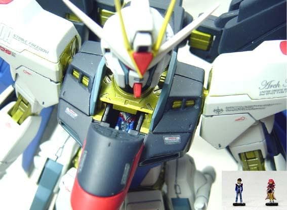 MG ストライクフリーダムガンダム 全塗装完成品