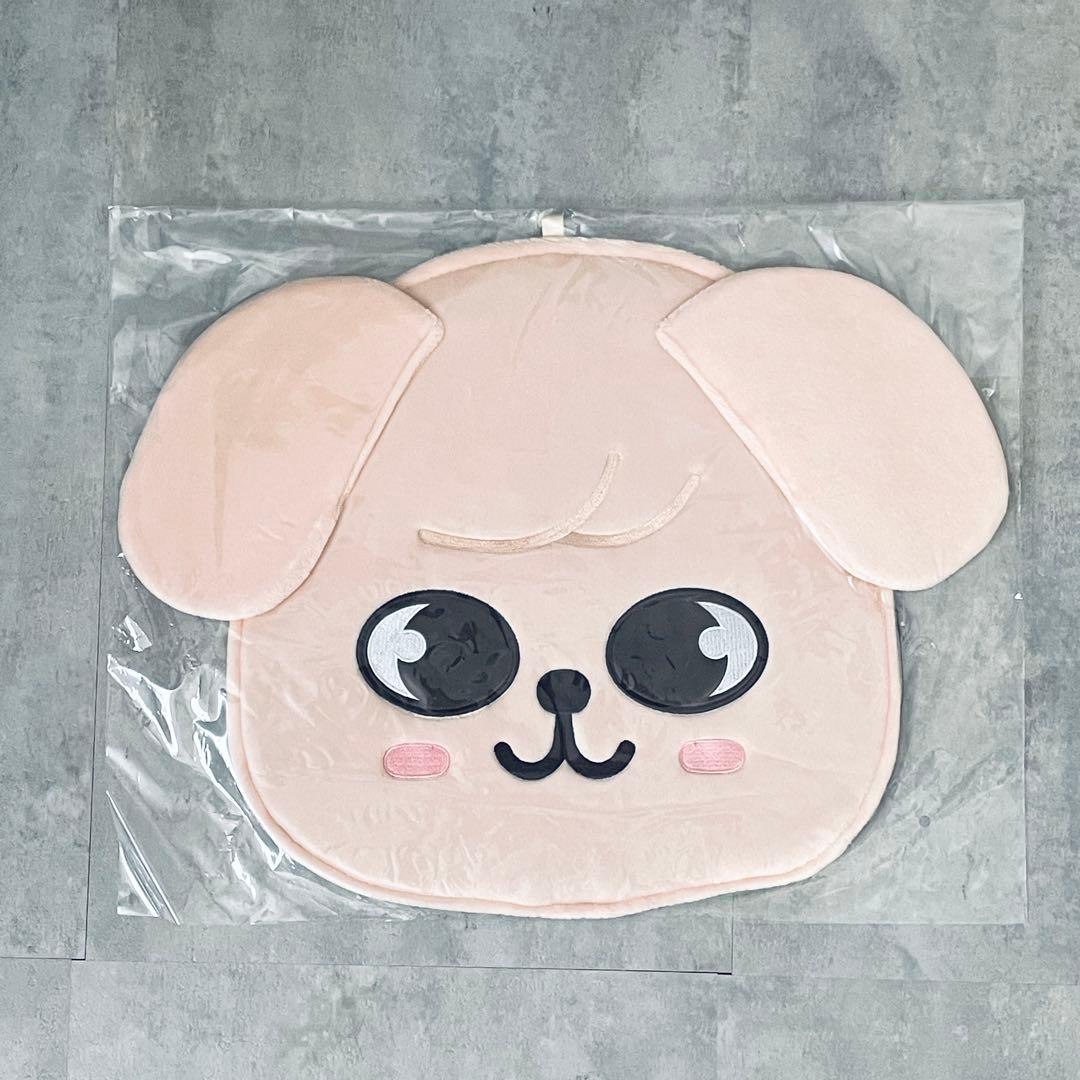 Stray Kids スンミン パピーム セット【新品・未開封】