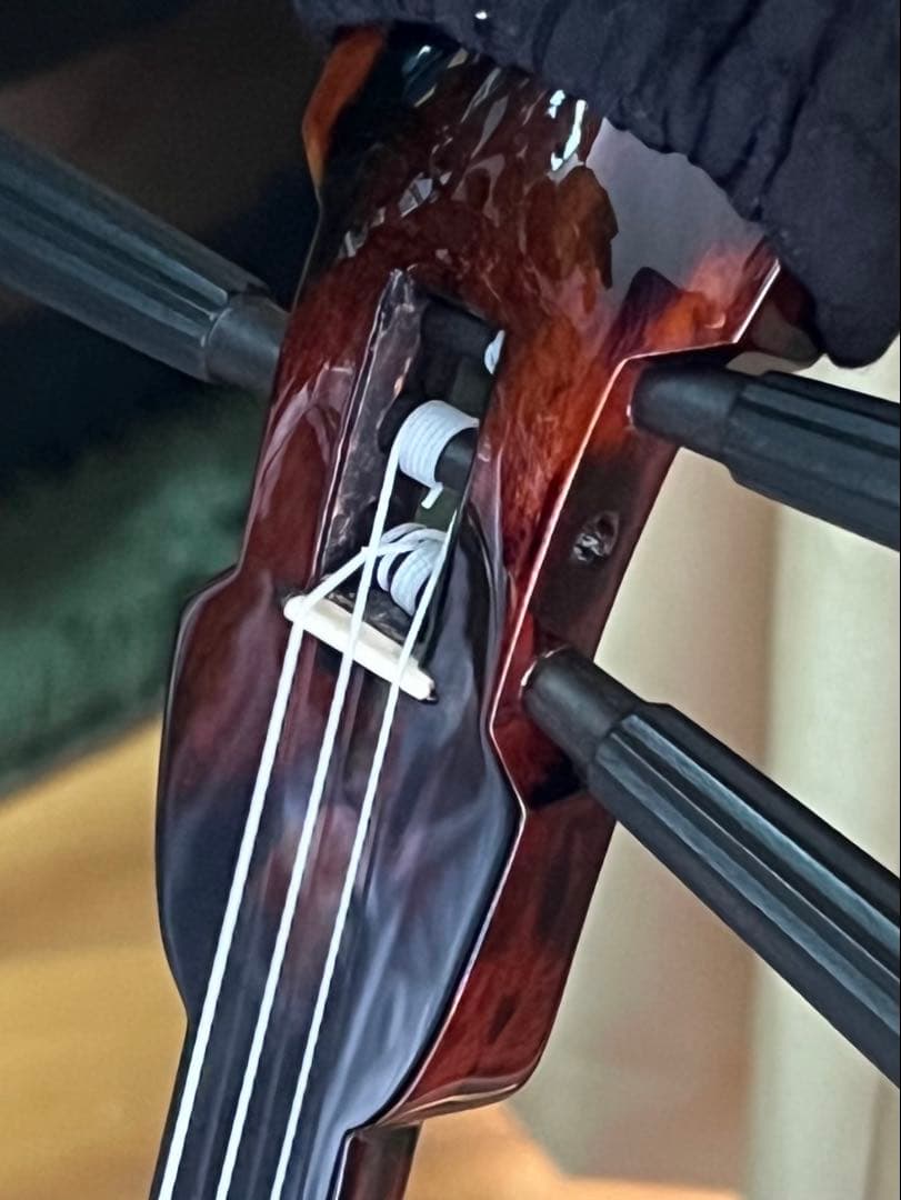 三線 八重山黒木 ウジラミ