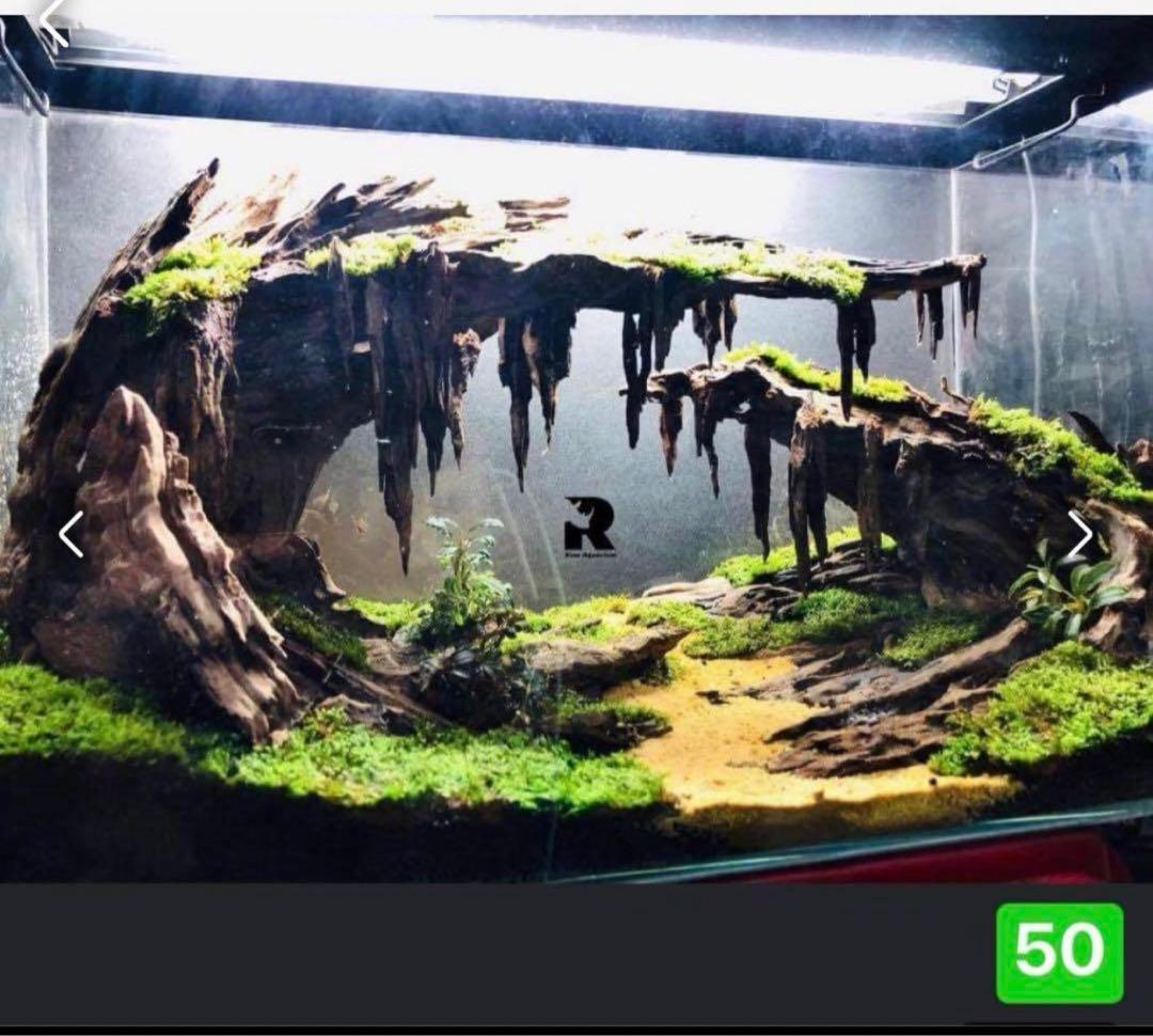 TTD 5060【⭐︎ カリメル様⭐︎】【美品・数量限定】