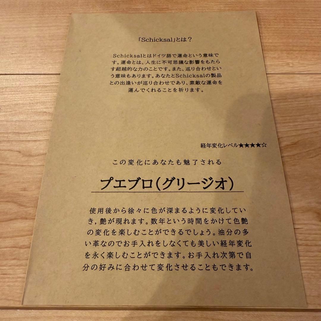 革軸ペン　プエブロ グリージオ　シックザール　schicksal