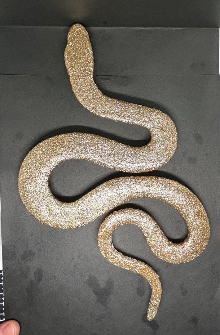 オルゴナイト 白蛇の抜け殻 金運 開運 魔除け 家内安全