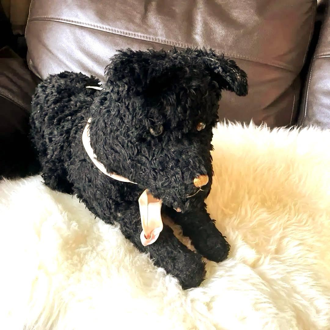 フランスアンティークパジャマドッグ　フランスアンティークパジャマドック　犬