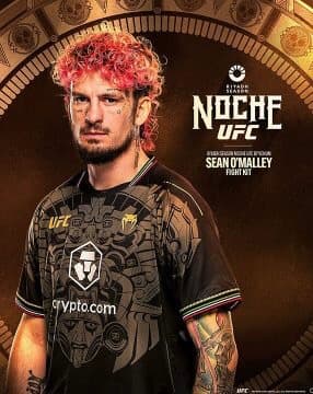 本物 Authentic NOCHE UFC VENUM ジャージーLサイズ