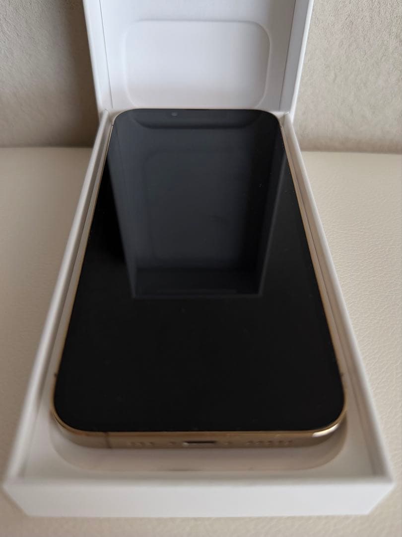 Apple iPhone 13 Pro ゴールド 本体＋充電ケーブル