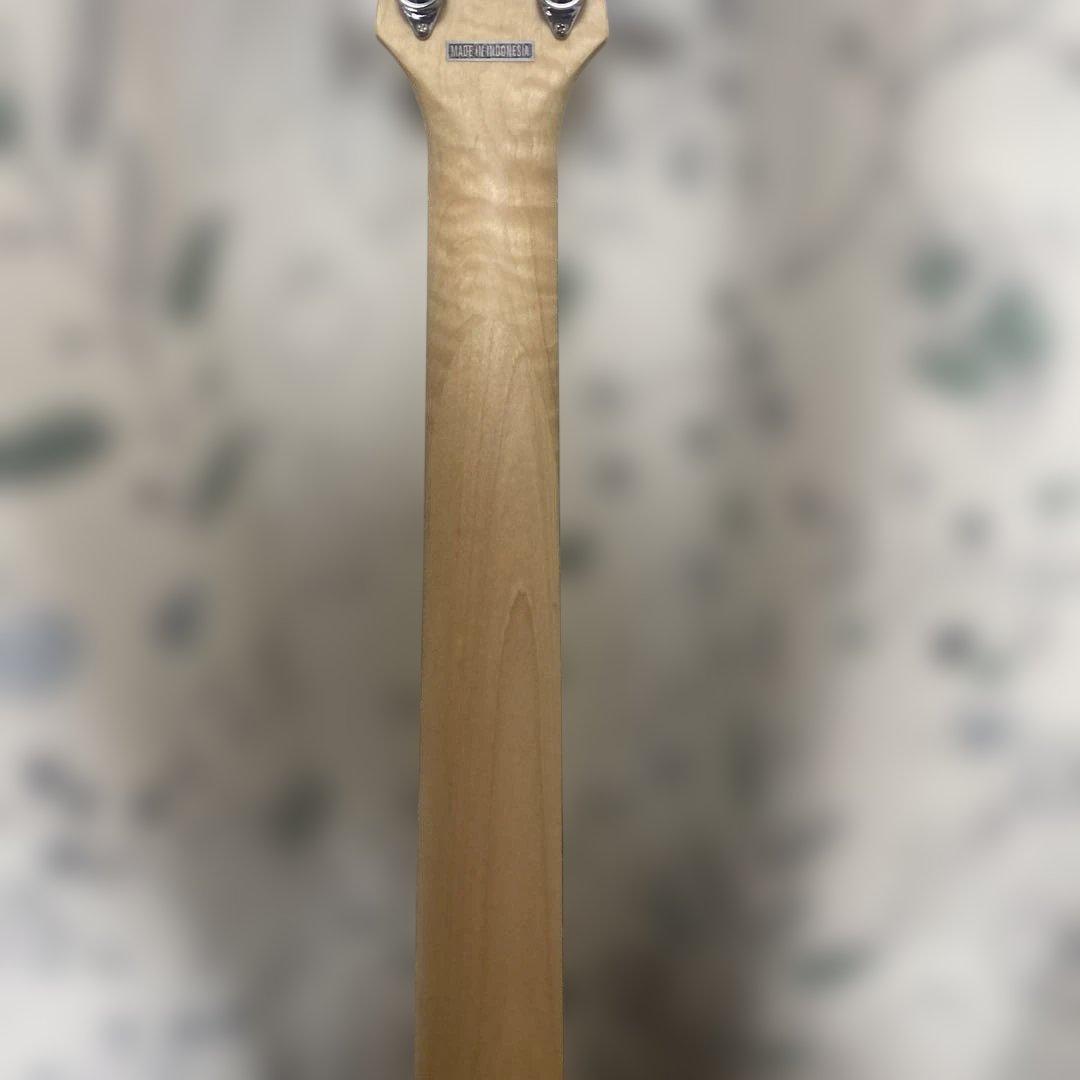 D'Angelico premier Bedford 新同