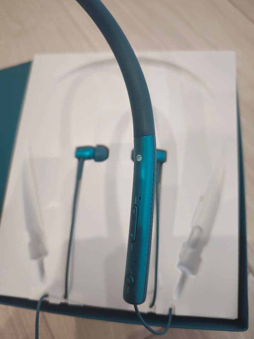 廃盤　ソニー　ワイヤレスステレオヘッドセットh.ear in Wireless