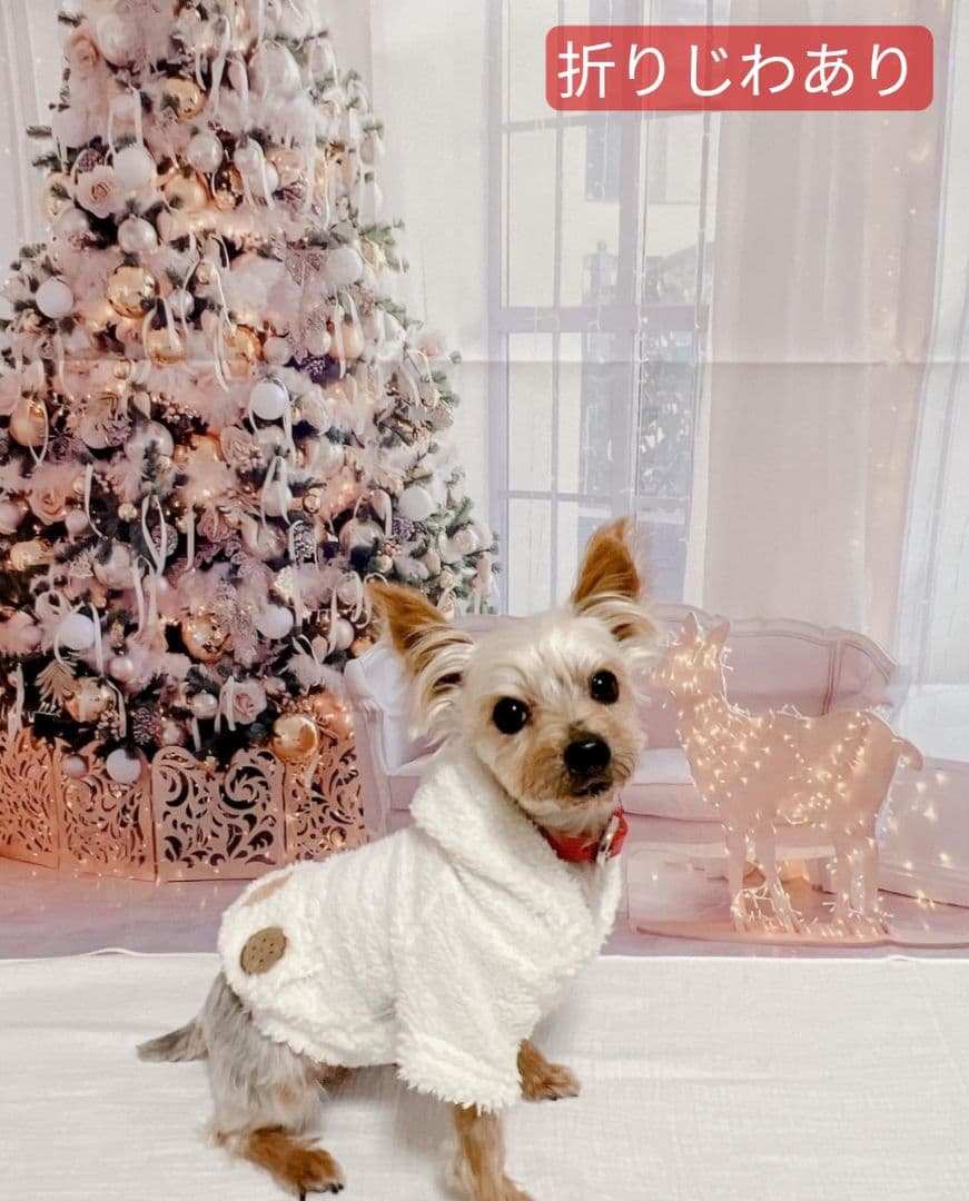 背景布夏BA②　キッズ、ペット、7,8月撮影用フォトブース　サーフィン　ピンク