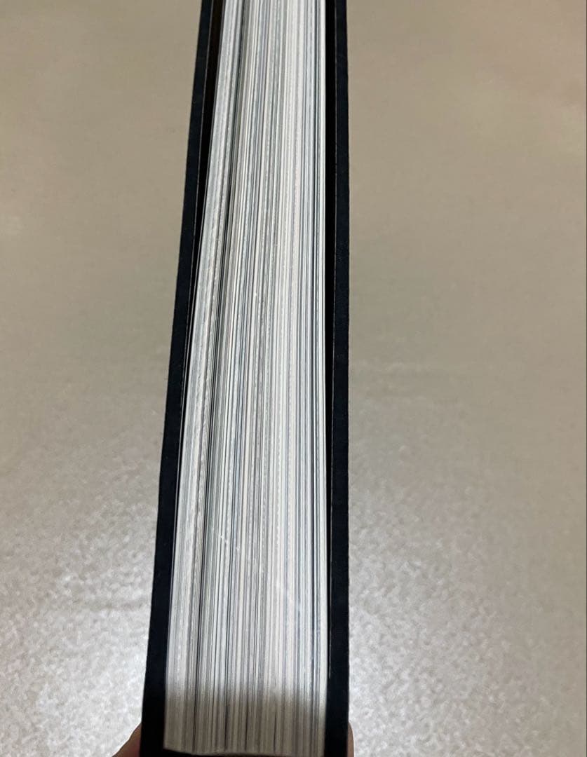 ティムバートンの世界　画集　日本語ver 図録　アートブック