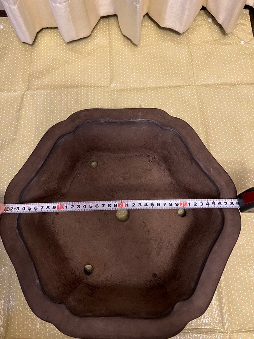 もつなべ　盆栽鉢　大型　斎田三峰　おまとめ