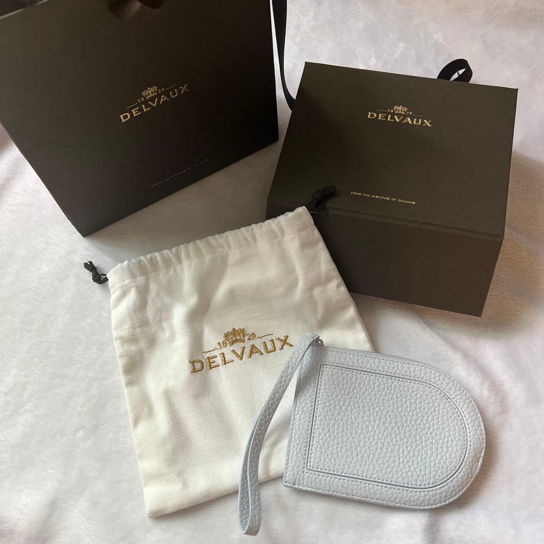 DELVAUX ライトブルー フラグメントケース