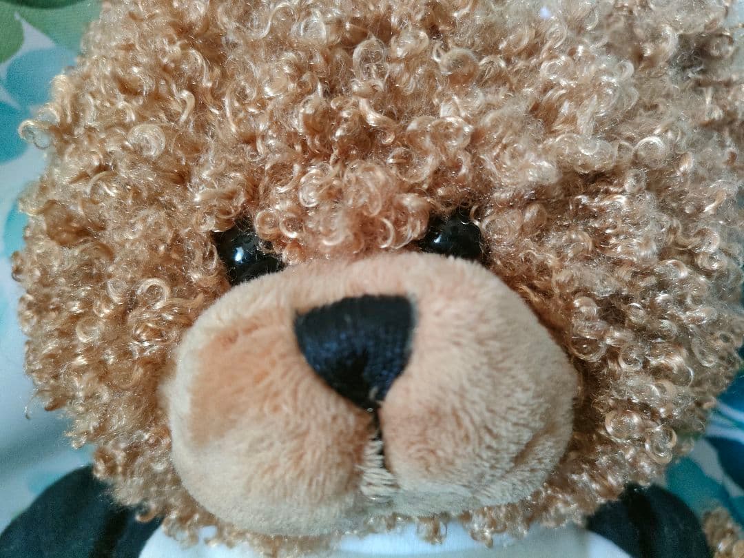 来日記念　ビリージョエル　2006　東京ドーム　コンサートグッズ　テディベア