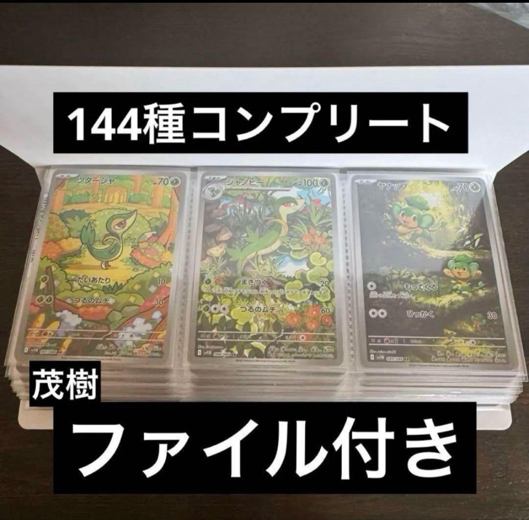 ブラックボルト ホワイトフレアARコンプリートセット　ファイル付き