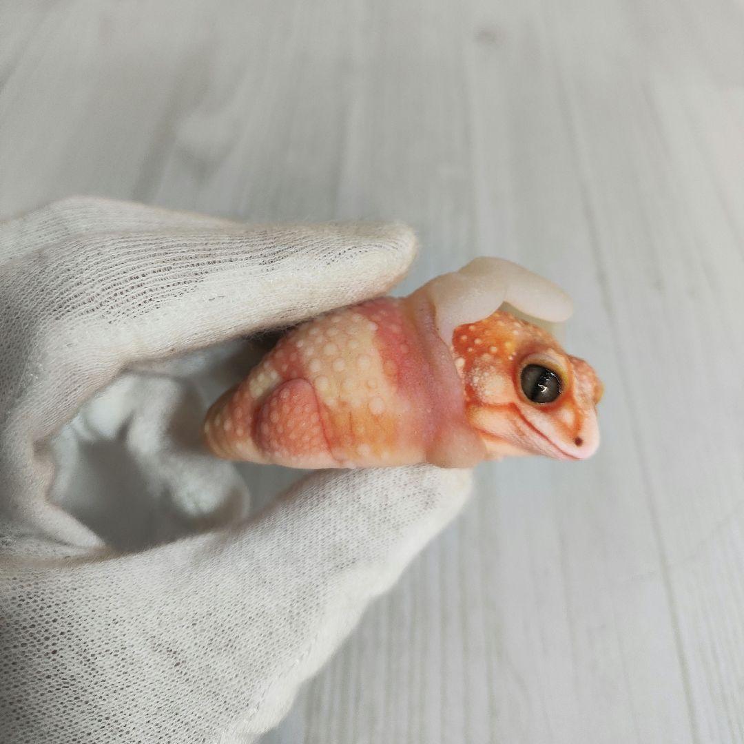 新年企画【動物の惑星】★ヒョウモントカゲモドキ（脱皮版）88体限定! フィギュア