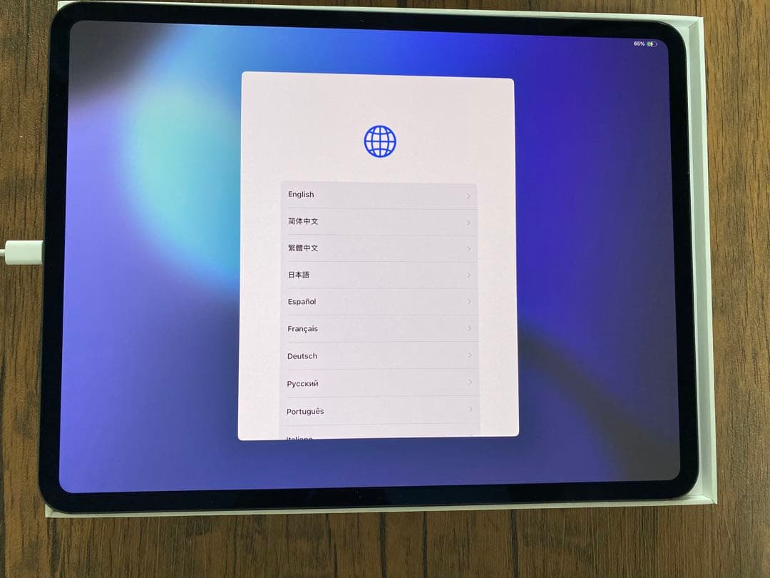 taroさん専用出品 iPad Pro 13インチ Wi-Fi+Cellular
