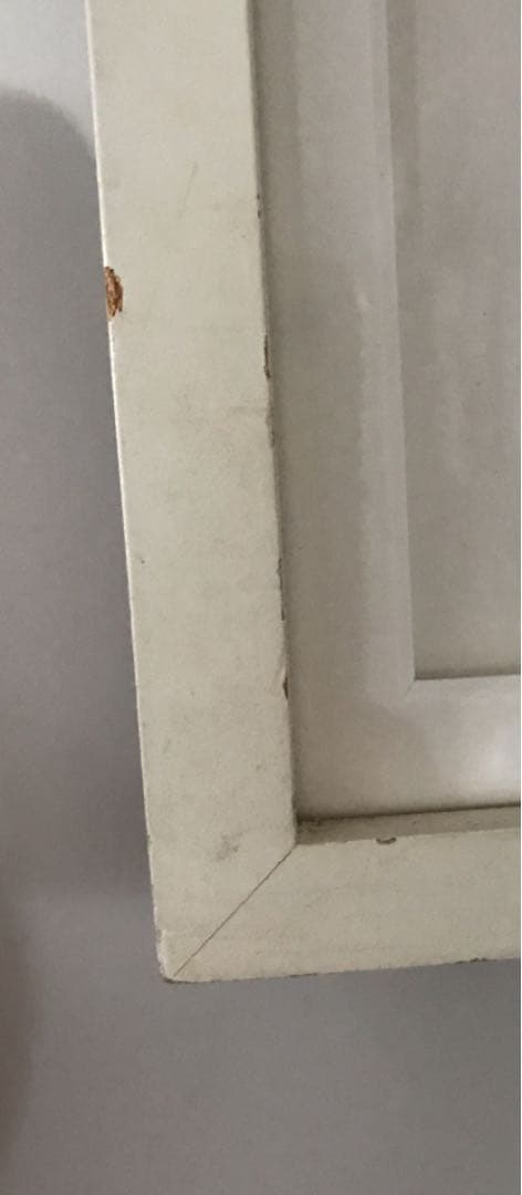 HERE COMES THE SUN Rizzi 限定110/350 1995年