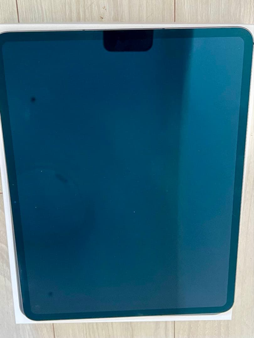 美品　iPadPro13インチM4 Wi-Fi+セルラー/1TB/ブラック