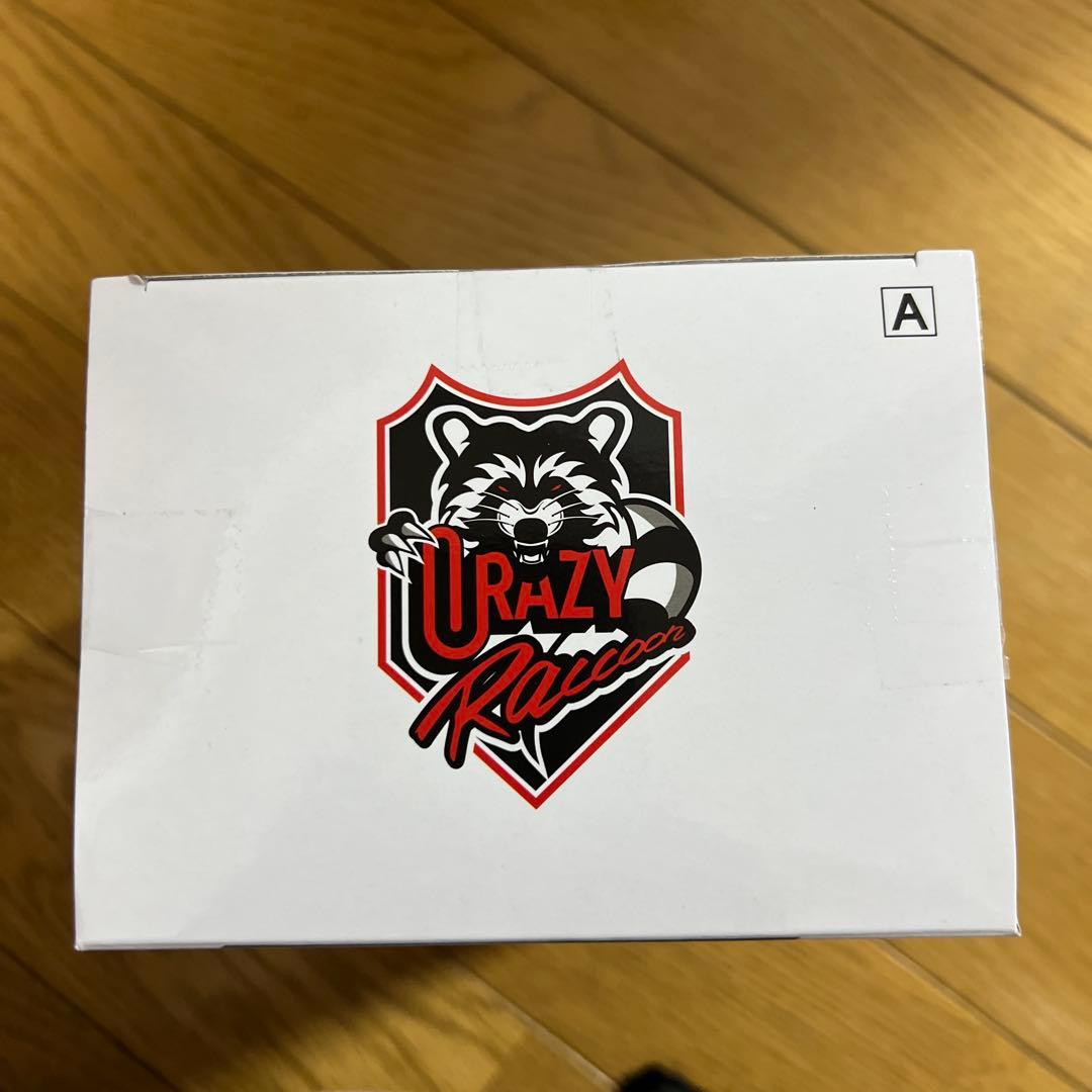 Crazy Raccoon　デスクトップフィギュア バニラ 2種 12箱セット