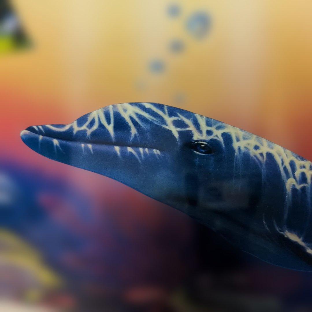 ラッセン ソーサラー オブ ザ シー額装済み