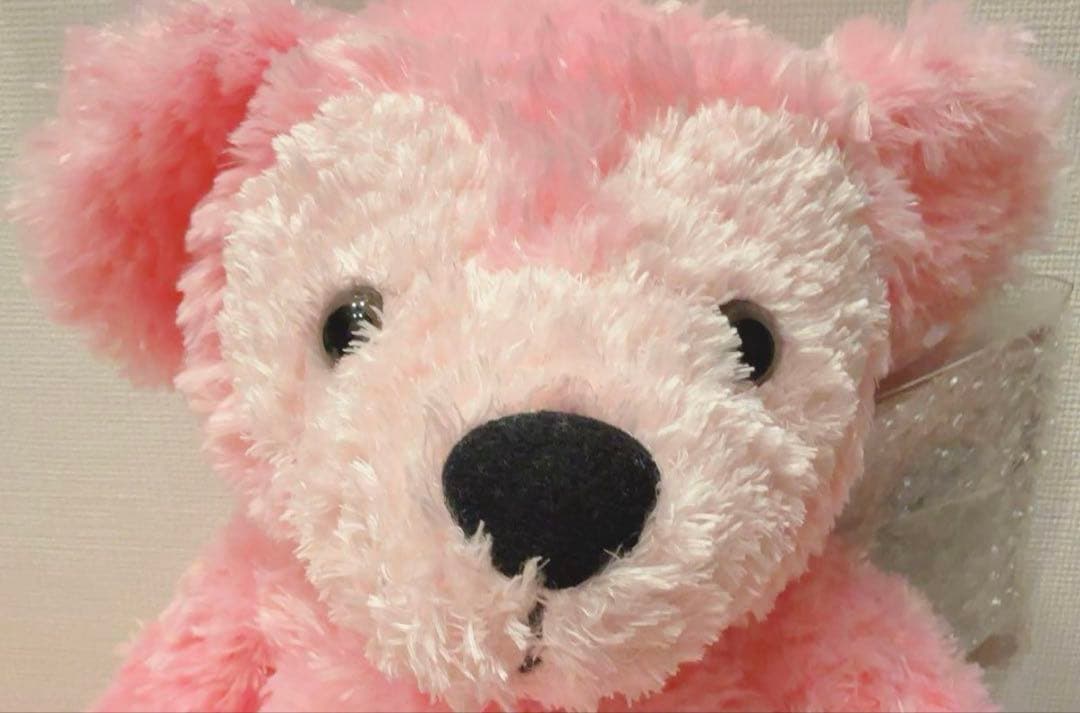 WDW ダッフィー ディズニーベア カラーダッフィー ピンク