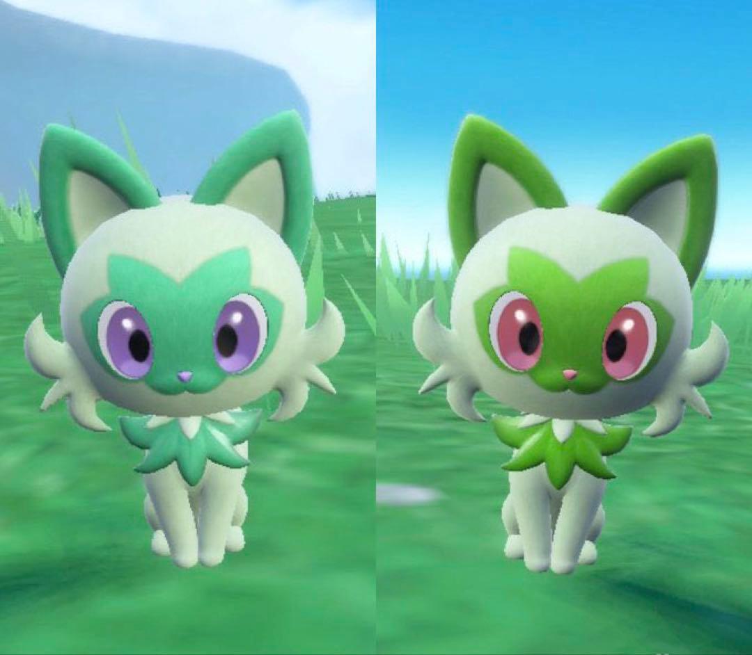 ポケモン 色違い ニャオハ 60cm 特大 ぬいぐるみ ポケットモンスター