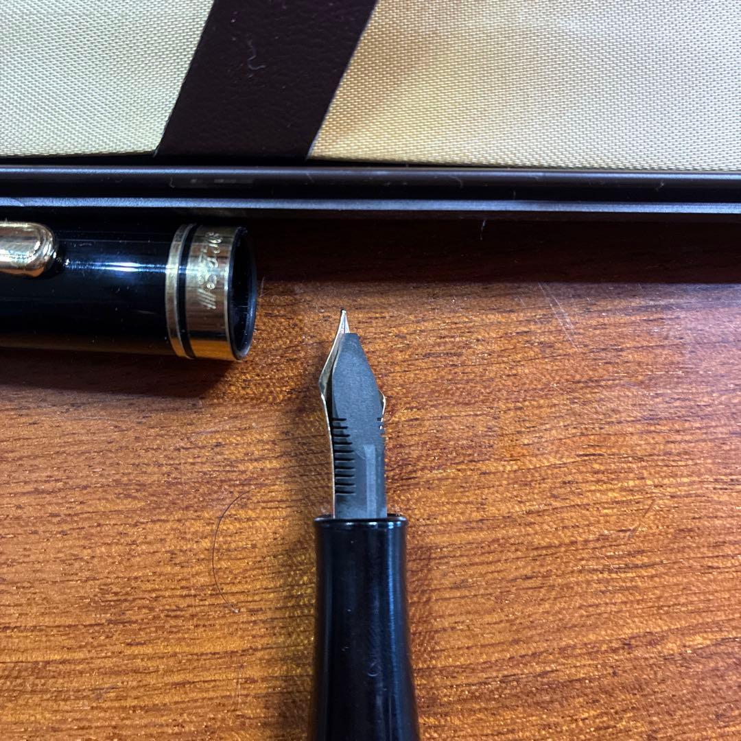 PLATINUM 万年筆 #3776 専用ケース付き