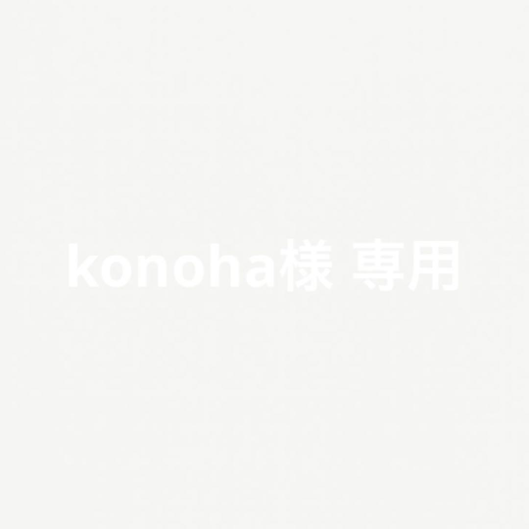 konoha 様のみ購入可 2周年 30点
