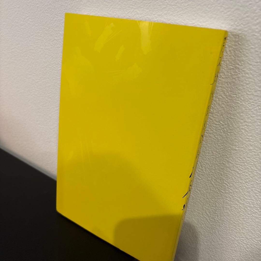 【初版】平凡社 荒木経惟写真全集　4冊セット