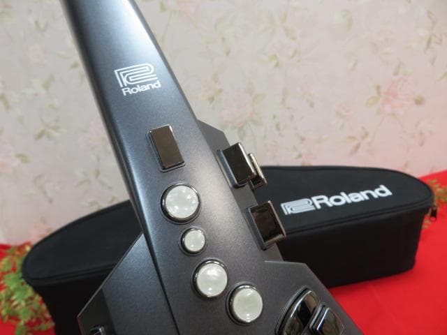ラ*ル様 【ee1190/14】Roland　 エアロフォン　AE-10　収納ケ