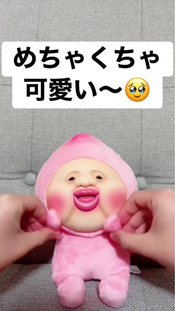 最終値下！こびとづかん一番くじ37点コンプ⭐︎貰った人は間違いなく嬉しい♡