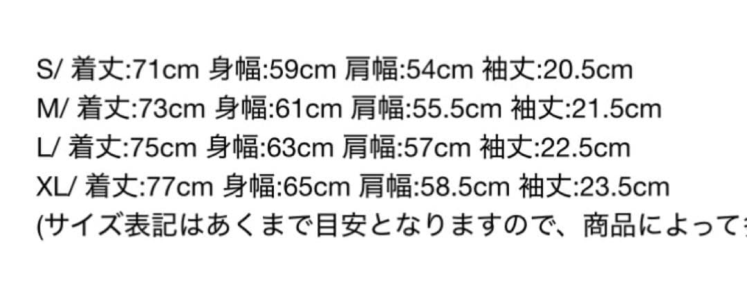 BOUNTY HUNTERビリオネア Tシャツ L 新品未開封 正規品 ロゴT