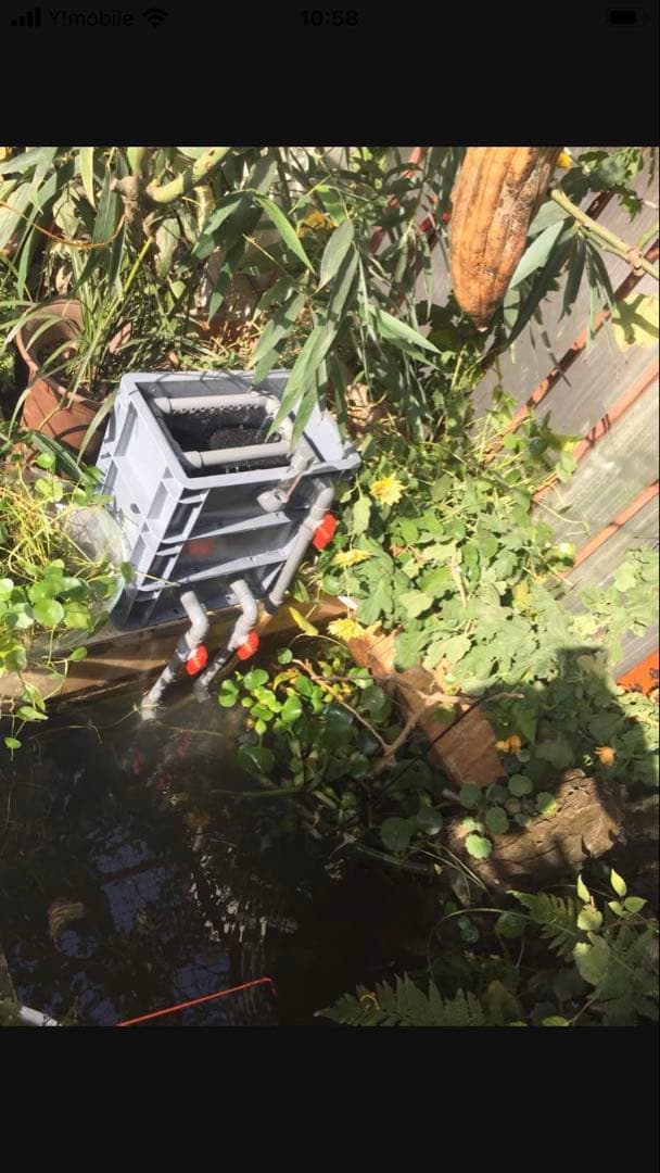 水中ポンプ25wろ材付きフルセット大型水槽万能濾過装置濾過外部式濾過層送料込み