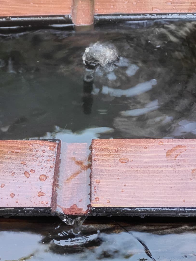 ぎるがめっしゅ