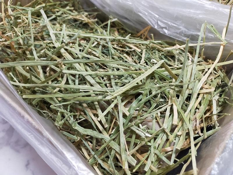 【3/16まで】 カナダ産 チモシー 50kg スーパープレミアム １番刈