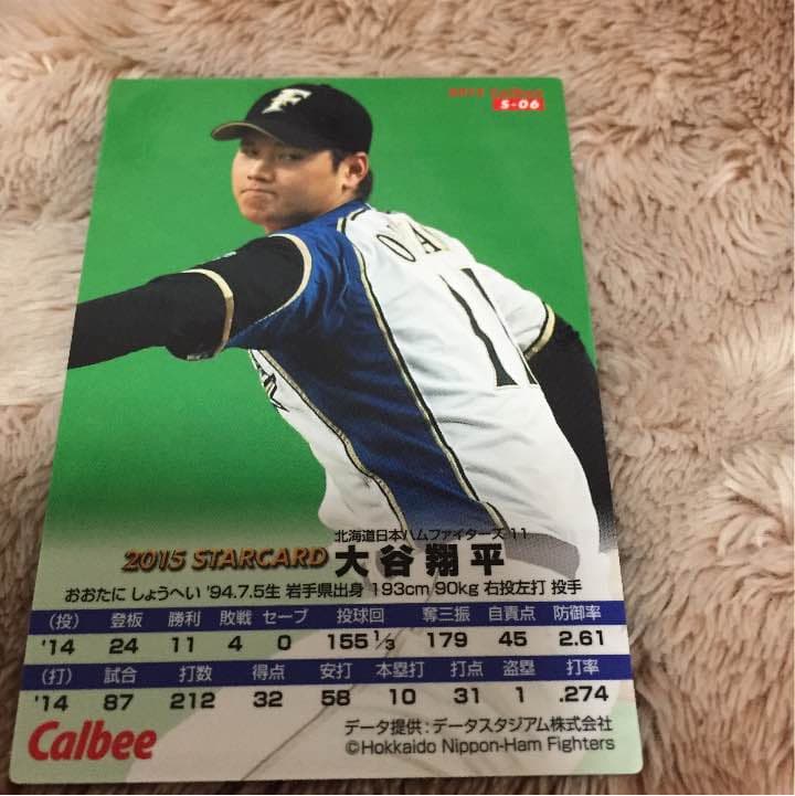 プロ野球チップス2015