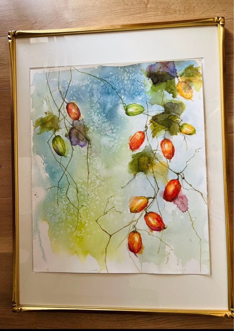 カラスウリ　水彩画　原画