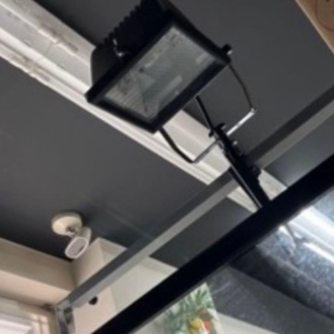 メタハラ　可動品　トカゲ　カメ　海水魚