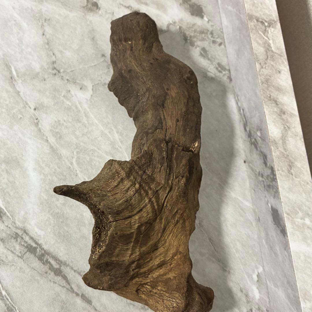 水槽用流木 自然な形状 熱帯魚　約18cm