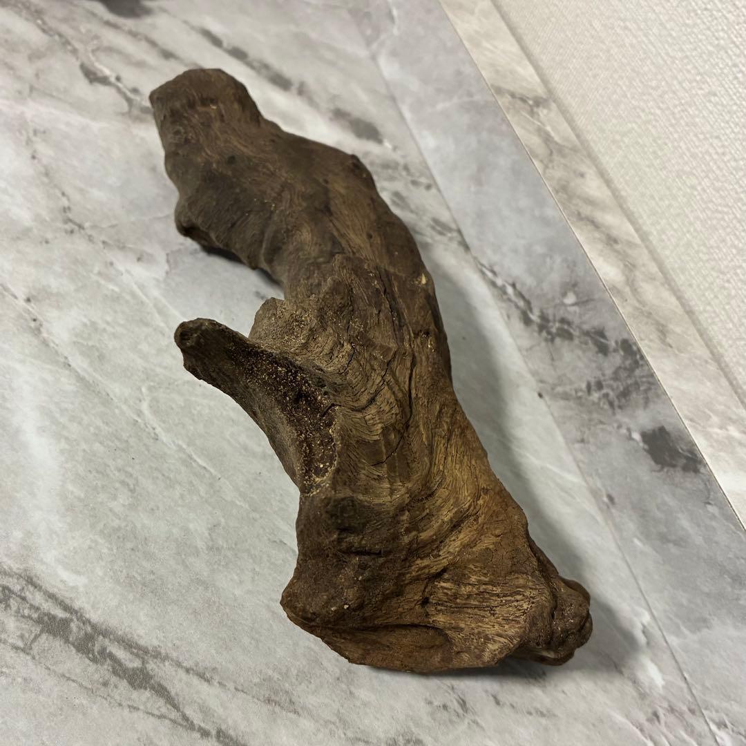 水槽用流木 自然な形状 熱帯魚　約18cm