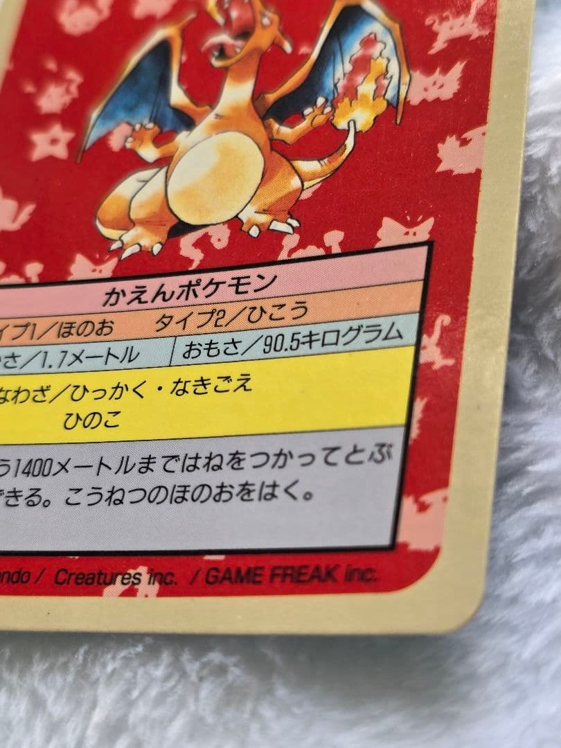 トップサン　リザードン「入札する前に必ず確認を」