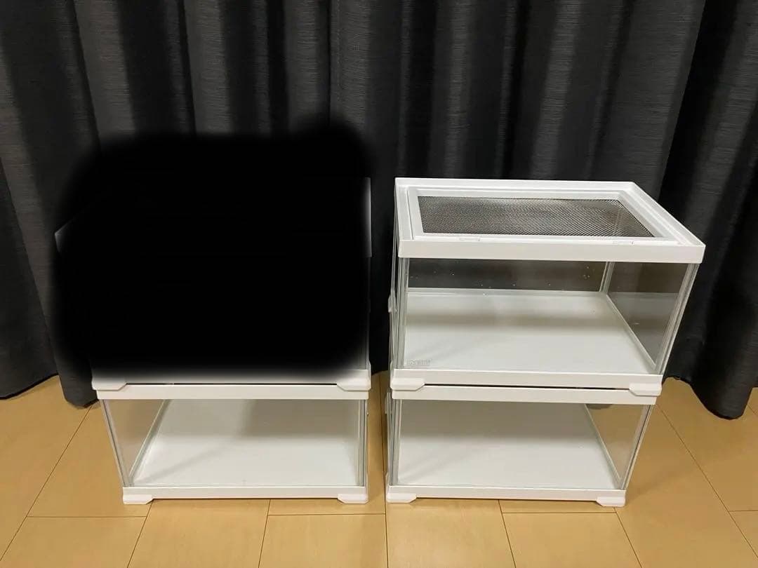 超美品3個セットGEX ジェックス エキゾテラ レプテリア ホワイト300Low