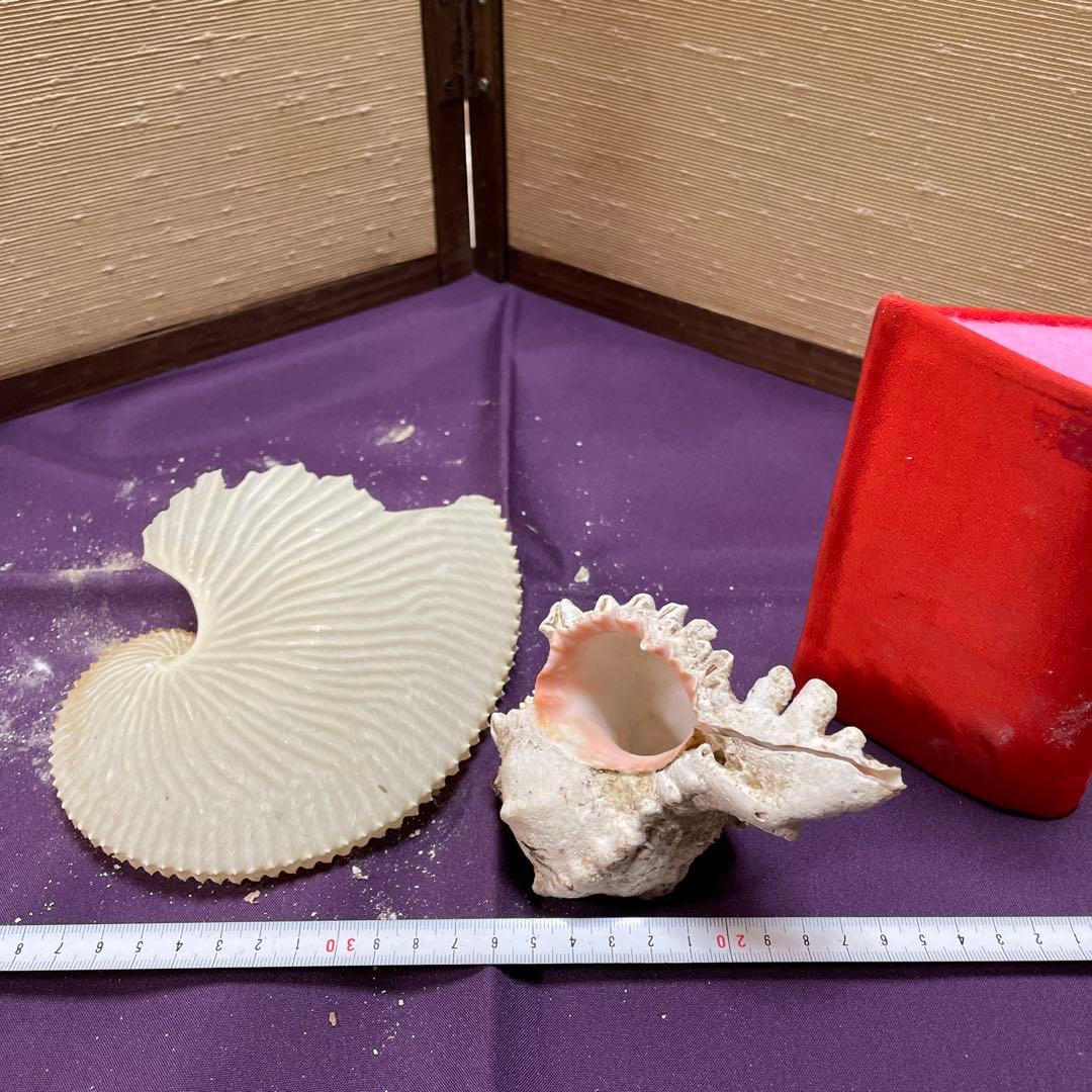 大型　オブジェ