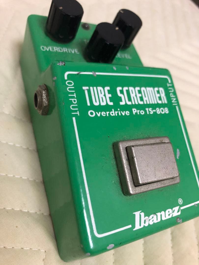 アイバニーズヴィンテージts808