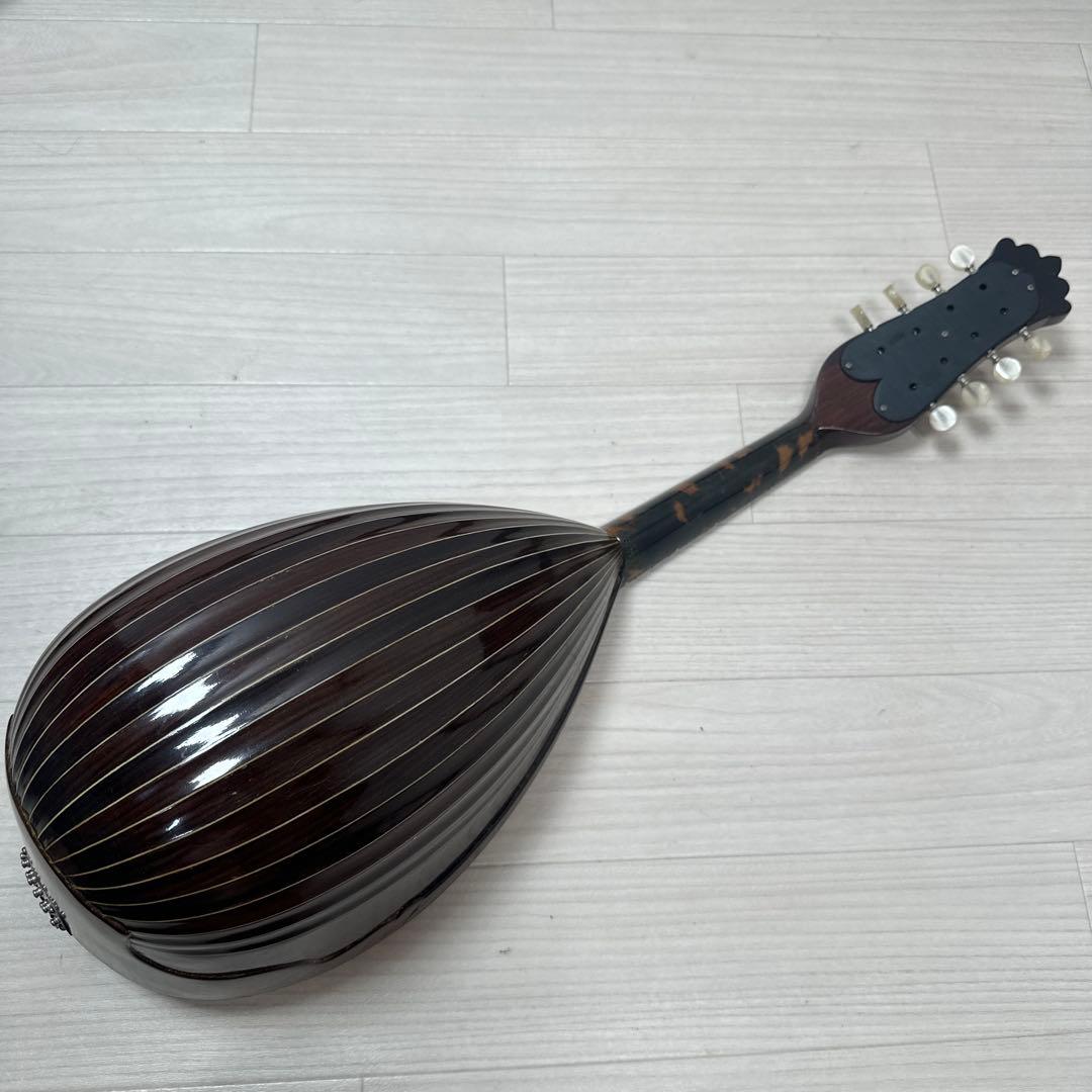 S. Watanabe No.50 Anno1971 渡辺精次 鼈甲多 ※31※