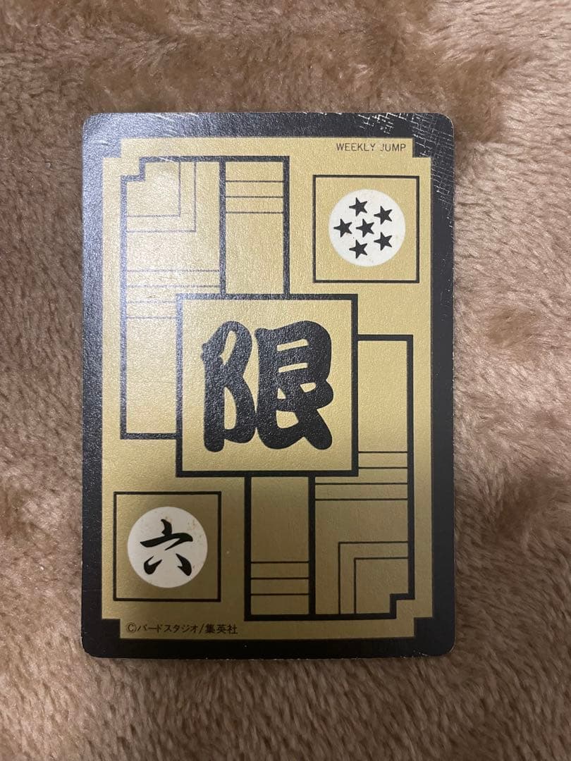 ドラゴンボールカードダスめちゃんこプロジェクトNo.Ⅵファミリー