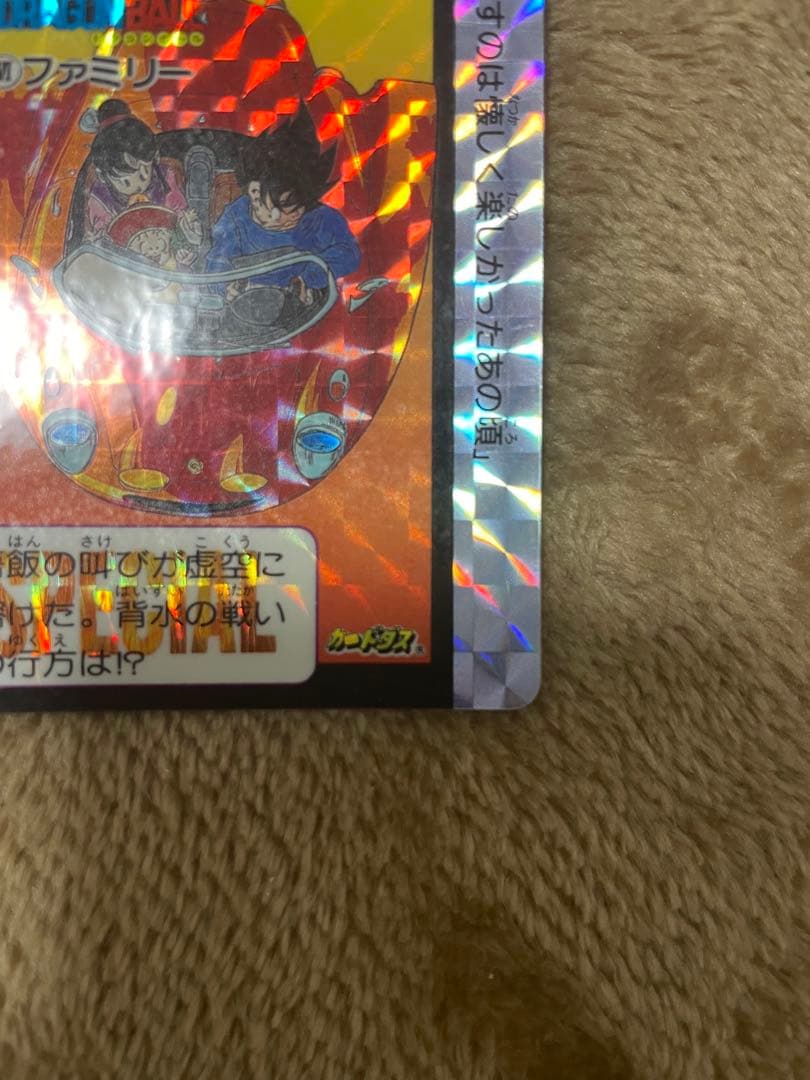 ドラゴンボールカードダスめちゃんこプロジェクトNo.Ⅵファミリー